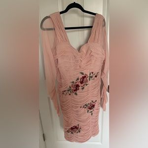 ✨✨✨NWOT Sheer Plus Size Dress